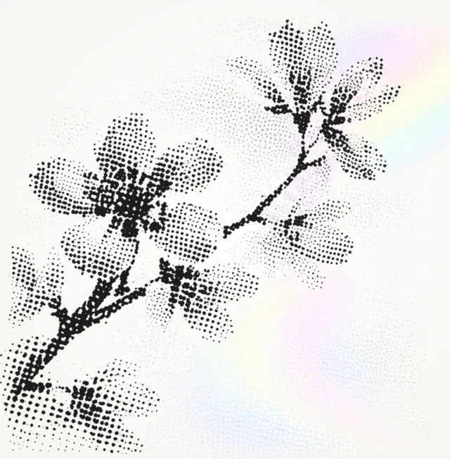 A black stipple flower branch with soft iridescent light